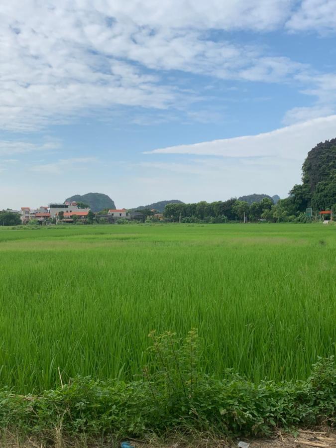 Tam Coc Wonderland Bungalow Ninh Binh Buitenkant foto